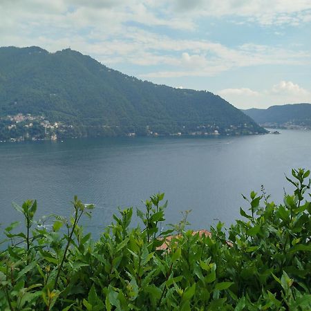 Little Garden House Villa Cernobbio Luaran gambar